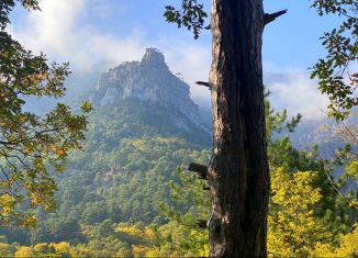 Продается земельный участок, 6 сот., посёлок городского типа Виноградное, улица Кирова, 169