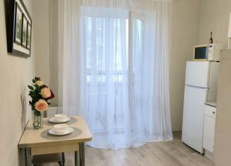 Сдается в аренду 1-комнатная квартира, 42 м2, Ростов-на-Дону, улица Ерёменко, 112, ЖК Пятый Элемент