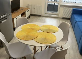 Сдается квартира студия, 24.1 м2, Санкт-Петербург, Ультрамариновая улица, 10, ЖК Пульс на Набережной