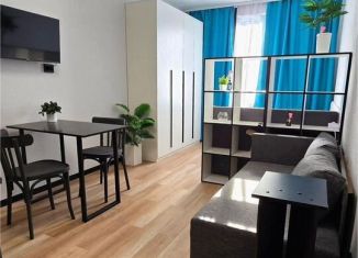 Продается квартира студия, 22 м2, Мурино, улица Шоссе в Лаврики, 93