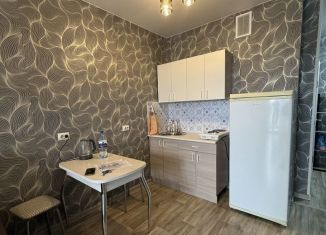 Сдается квартира студия, 29 м2, Обь, Октябрьская улица, 5