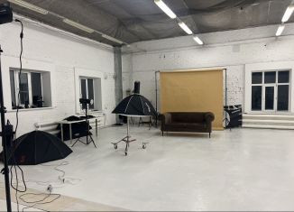 Продам помещение свободного назначения, 215.3 м2, Барнаул, улица Германа Титова, 9, Октябрьский район