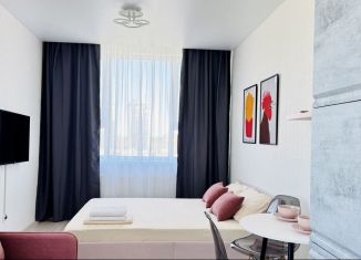 Сдаю в аренду квартиру студию, 35 м2, Екатеринбург, улица Фрунзе, 31