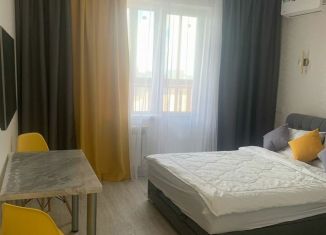 Продается квартира студия, 34 м2, Новосибирск, Гурьевская улица, 177