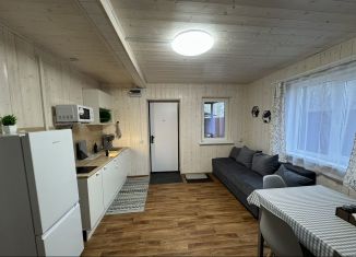 Сдача в аренду дома, 45 м2, село Нугуш, Набережная улица, 10