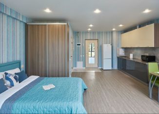 Сдается в аренду квартира студия, 34 м2, Сочи, Курортный проспект, 96/2, микрорайон Приморье