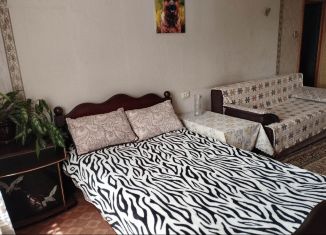 Сдам 1-комнатную квартиру, 38 м2, Курчатов, Садовая улица, 1