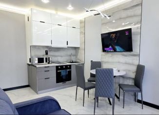 Сдаю в аренду 1-ком. квартиру, 48 м2, Краснодар, Уральская улица, 100, Карасунский округ
