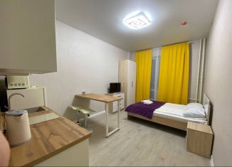 Квартира в аренду студия, 25 м2, Санкт-Петербург, Пулковское шоссе, 14с6, муниципальный округ Звёздное