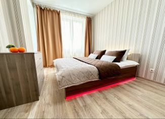 Сдача в аренду 1-ком. квартиры, 41.6 м2, Екатеринбург, улица Циолковского, 29, ЖК Времена Года