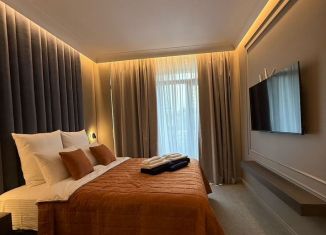 Сдача в аренду 1-комнатной квартиры, 21 м2, Сочи, улица Ленина, 217А, микрорайон Курортный Городок