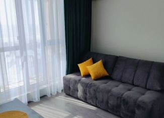 Квартира в аренду студия, 23 м2, Ростов-на-Дону, улица Ткачёва, 21, ЖК Левенцовка Парк