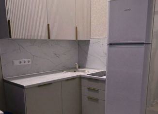 Квартира на продажу студия, 16.7 м2, Москва, улица Юных Ленинцев, 55, ЮВАО