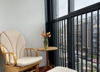 Продам квартиру студию, 24.1 м2, Санкт-Петербург, улица Адмирала Черокова, муниципальный округ Южно-Приморский