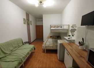 Сдача в аренду квартиры студии, 17 м2, Сочи, Православная улица, 35Б, микрорайон Энергетик-Изумруд