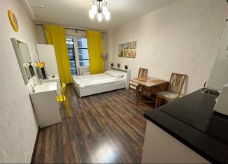 Сдаю в аренду квартиру студию, 25 м2, Санкт-Петербург, Пулковское шоссе, 14Д, муниципальный округ Звёздное