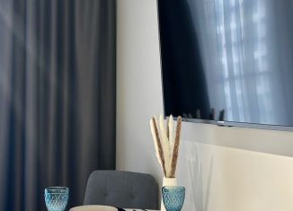 Сдается в аренду квартира студия, 17 м2, Сочи, Ясногорская улица, 16/2к7, микрорайон Бытха