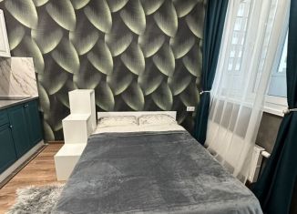 Сдается квартира студия, 27 м2, Новороссийск, улица Куникова