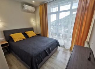 Сдам в аренду квартиру студию, 30 м2, посёлок городского типа Дагомыс, улица Гайдара, 22, ЖК Босфор