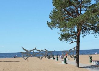 Аренда дачи, 60 м2, Санкт-Петербург, 3-й проезд, 25