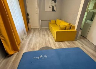 Сдам в аренду 1-ком. квартиру, 48 м2, Москва, 2-я Радиаторская улица, 12