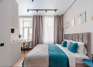 Сдаю в аренду квартиру студию, 20 м2, Санкт-Петербург, Полтавская улица, 10, муниципальный округ Лиговка-Ямская