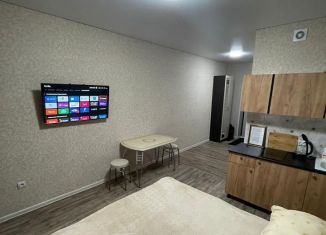 Сдача в аренду квартиры студии, 24 м2, Октябрьский, улица Рахимьяна Насырова, 6