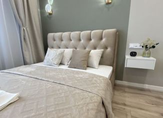 Сдаю в аренду квартиру студию, 25 м2, Республика Башкортостан, улица Конституции, 5/2