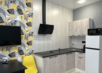 Квартира в аренду студия, 25 м2, Тихвин, Знаменская улица, 11