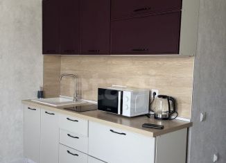 Сдам в аренду квартиру студию, 25.4 м2, Тюмень, Героев Сталинградской битвы, 9, Ленинский округ