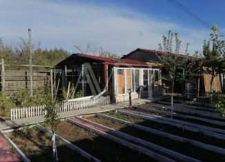 Продам дачу, 38 м2, Ивантеевка, Первомайская площадь