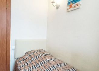 Сдача в аренду квартиры студии, 10 м2, Нижегородская область, деревня Кузнечиха, 161И