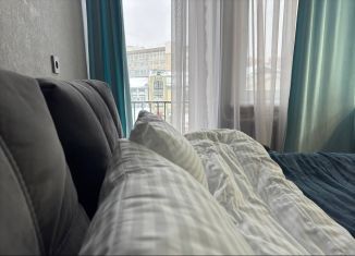 Сдается 1-комнатная квартира, 30 м2, Нижний Новгород, Большая Покровская улица, 49, Нижегородский район