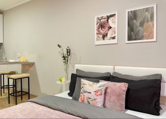 Сдается квартира студия, 25 м2, посёлок Парголово, Толубеевский проезд, 8к2