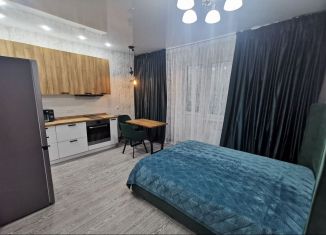 Сдается квартира студия, 34 м2, Краснодар, Колхозная улица, 5/1, микрорайон Табачная Фабрика