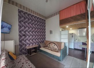 Аренда квартиры студии, 30 м2, Сочи, улица Просвещения, 118/2, микрорайон Центральный