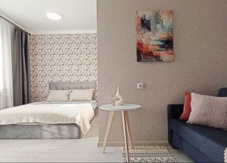 Сдача в аренду 1-комнатной квартиры, 31 м2, Республика Башкортостан, улица Современников, 4