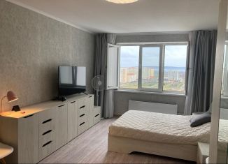 Сдам в аренду двухкомнатную квартиру, 65 м2, Анапа, улица Адмирала Пустошкина, 16, ЖК Горгиппия Морская