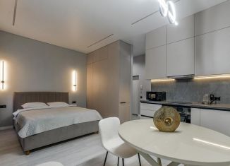 Сдача в аренду квартиры студии, 38 м2, Санкт-Петербург, Тележная улица, 25-27, муниципальный округ Лиговка-Ямская