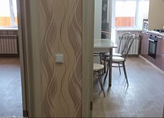 Сдам в аренду 1-ком. квартиру, 46 м2, Татарстан, Комсомольская улица, 26