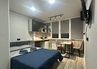 Сдается в аренду квартира студия, 18 м2, Сочи, улица Голубые Дали