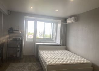 Сдам в аренду квартиру студию, 36 м2, Нижний Новгород, Трудовая улица, 6, Нижегородский район
