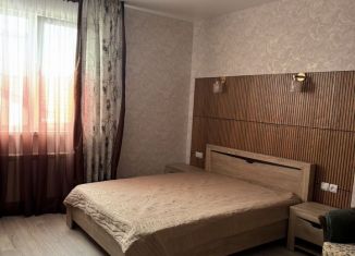 Сдаю в аренду квартиру студию, 25 м2, Геленджик, улица Адмирала Проценко, 6