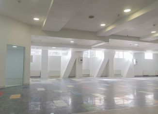 Сдаю помещение свободного назначения, 300 м2, Санкт-Петербург, проспект Испытателей, 30к2, метро Пионерская