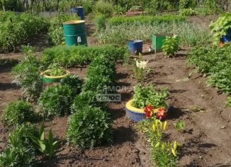 Продаю дачу, 55 м2, Искитим, некоммерческое садоводческое товарищество Шиферник, 55