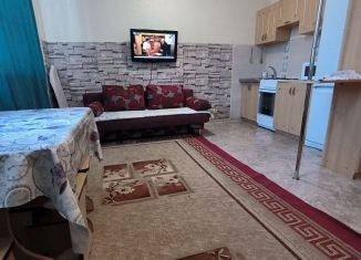 Сдаю в аренду квартиру студию, 30 м2, Омск, проспект Мира, 9/2