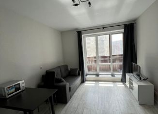 Сдача в аренду квартиры студии, 28 м2, Санкт-Петербург, улица Фёдора Котанова, 5к1, муниципальный округ Звёздное