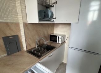 Сдам в аренду 1-ком. квартиру, 30 м2, Тюмень, улица Тимофея Чаркова, 69к2