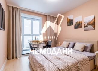 Квартира в аренду студия, 22 м2, Нижний Новгород, Южный бульвар, 21