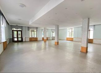 Сдача в аренду помещения свободного назначения, 250 м2, Ростов-на-Дону, Братский переулок, 47, Ленинский район